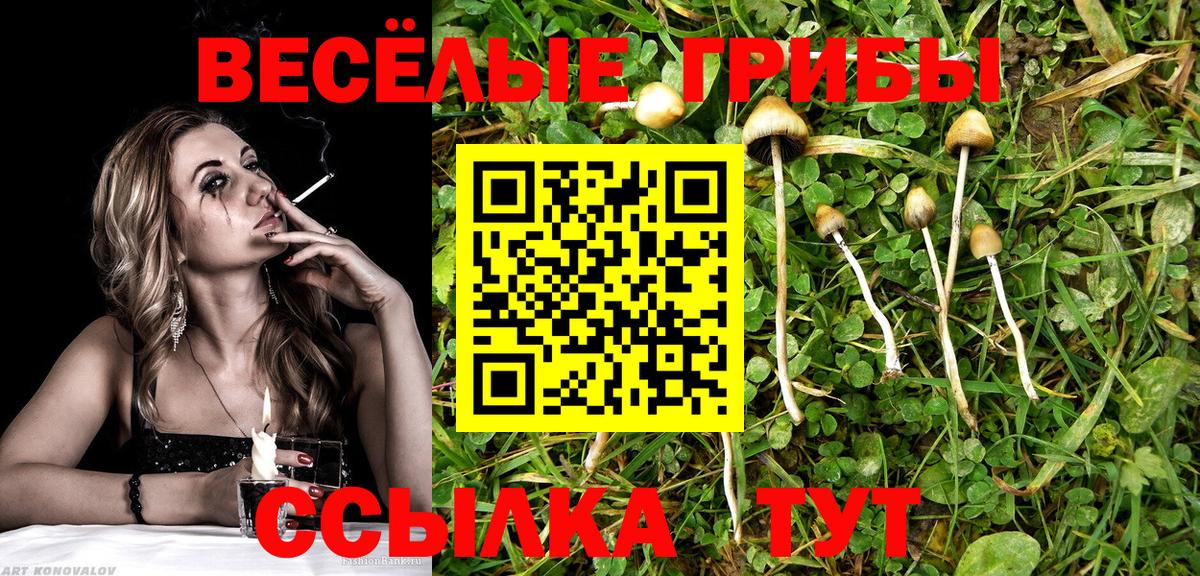 сколько стоит  Галлюциногенные грибы прущие грибы  Вход с VPN  Черкесск 